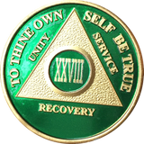 AA Medallion Green Gold Plated Year 1 - 65 Alcoholics Anonymous Chip - RecoveryChip