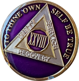 1 - 40 Year AA Medallion Metallic Purple Tri-Plate Sobriety Chip