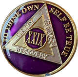 1 - 40 Year AA Medallion Metallic Purple Tri-Plate Sobriety Chip