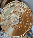29 Year AA Medallion 1.5" Large Challenge Coin Premium 22k Gold Plated Sobriety Chip