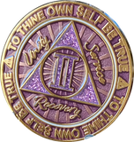 2 Year AA Medallion Cosmic Purple Glitter Gold Plated Sobriety Chip