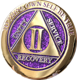 1 - 10 & 30 Year AA Medallion Elegant Glitter Purple Gold & Silver Plated Sobriety Chip - RecoveryChip