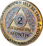 Set of 11 Recoverychip Gold Plated Month AA Medallions Months 1 2 3 4 5 6 7 8 9 10 11