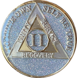 1 2 3 4 5 6 7 8 9 or 10 Year AA Medallion Opal Silver Glitter Tri-Plate Sobriety Chip