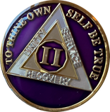 1 - 40 Year AA Medallion Metallic Purple Tri-Plate Sobriety Chip