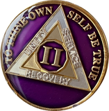 1 - 40 Year AA Medallion Metallic Purple Tri-Plate Sobriety Chip
