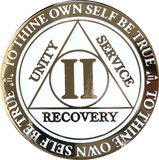 1 2 3 4 5  Year AA Medallion Reflex Glow In The Dark Gold Plated White Sobriety Chip - RecoveryChip