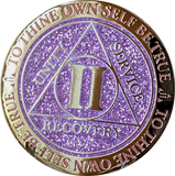 1 - 10 Year AA Medallion Reflex Glitter Lavender Purple Gold Plated Sobriety Chip