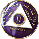 Purple Gold Tri-Plate AA Medallion 24 Hours 18 Month Year 1 - 45 Sobriety Chip - RecoveryChip