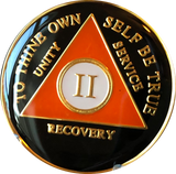 Black Orange Gold Tri-Plate AA Medallion 24 Hours 18 Month Year 1 - 40 Sobriety Chip - RecoveryChip