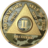 Camo & Gold Plated AA Medallion Any Year or Month 1 - 65 Alcoholics Anonymous Chip - RecoveryChip