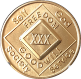 NA Medallion Bronze Narcotics Anonymous Chips Year 1 - 65 and 18 Months - RecoveryChip