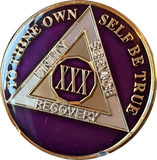 1 - 40 Year AA Medallion Metallic Purple Tri-Plate Sobriety Chip