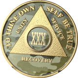 Camo & Gold Plated AA Medallion Any Year or Month 1 - 65 Alcoholics Anonymous Chip - RecoveryChip