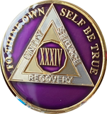 1 - 40 Year AA Medallion Metallic Purple Tri-Plate Sobriety Chip