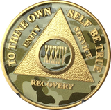 Camo & Gold Plated AA Medallion Any Year or Month 1 - 65 Alcoholics Anonymous Chip - RecoveryChip