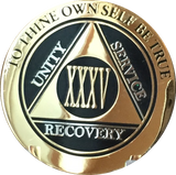 AA Medallion Elegant Black Gold & Silver Plated Years 1 - 45 Bi-Plate - RecoveryChip