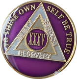 1 - 40 Year AA Medallion Metallic Purple Tri-Plate Sobriety Chip