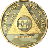 Camo & Gold Plated AA Medallion Any Year or Month 1 - 65 Alcoholics Anonymous Chip - RecoveryChip