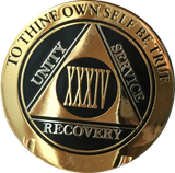 AA Medallion Elegant Black Gold & Silver Plated Years 1 - 45 Bi-Plate - RecoveryChip
