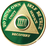 AA Medallion Green Gold Plated Year 1 - 65 Alcoholics Anonymous Chip - RecoveryChip
