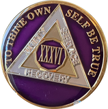 1 - 40 Year AA Medallion Metallic Purple Tri-Plate Sobriety Chip