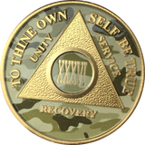 Camo & Gold Plated AA Medallion Any Year or Month 1 - 65 Alcoholics Anonymous Chip - RecoveryChip