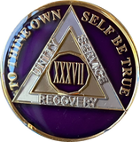 1 - 40 Year AA Medallion Metallic Purple Tri-Plate Sobriety Chip