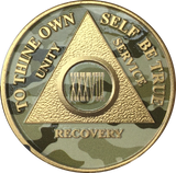 Camo & Gold Plated AA Medallion Any Year or Month 1 - 65 Alcoholics Anonymous Chip - RecoveryChip