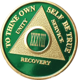 AA Medallion Green Gold Plated Year 1 - 65 Alcoholics Anonymous Chip - RecoveryChip