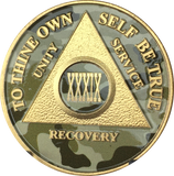 Camo & Gold Plated AA Medallion Any Year or Month 1 - 65 Alcoholics Anonymous Chip - RecoveryChip