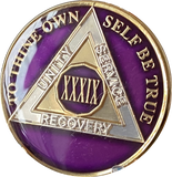 1 - 40 Year AA Medallion Metallic Purple Tri-Plate Sobriety Chip