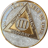1 - 20 or 30 Year AA Medallion Opulent Pearl Silver Swirl Tri-Plate Sobriety Chip