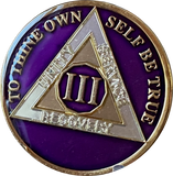 1 - 40 Year AA Medallion Metallic Purple Tri-Plate Sobriety Chip