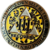 1 - 10 Year AA Medallion Leopard Spot Animal Print Reflex Design Sobriety Chip - RecoveryChip