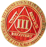1 - 10 Year AA Medallion Reflex Red Gold Plated RecoveryChip Design