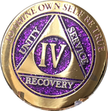 1 - 10 Year AA Medallion Reflex Purple Gold Plated