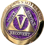1 - 10 Year AA Medallion Reflex Purple Gold Plated