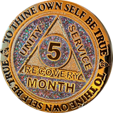 Set of 11 Recoverychip Gold Plated Month AA Medallions Months 1 2 3 4 5 6 7 8 9 10 11