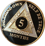 1 2 3 4 5 6 7 8 9 10 11 or 18 Month AA Medallion Classic Black Tri-Plate Sobriety Chip