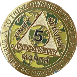 1 2 3 4 5 6 7 8 9 10 11 or 18 Month AA Medallion Reflex Camo Gold Plated Camouflage Sobriety Chip
