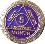 1 - 11 Month AA Medallion Reflex Purple Gold Plated Sobriety Chip Coin - RecoveryChip