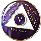 Purple Gold Tri-Plate AA Medallion 24 Hours 18 Month Year 1 - 45 Sobriety Chip - RecoveryChip