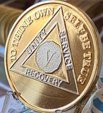5 Year AA Medallion 1.5" Large Challenge Coin Premium 22k Gold Plated Sobriety Chip