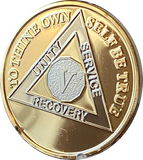 5 Year AA Medallion 1.5" Large Challenge Coin Premium 22k Gold Plated Sobriety Chip
