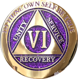 1 - 10 Year AA Medallion Reflex Purple Gold Plated