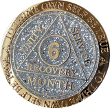 Set of 11 Recoverychip Gold Plated Month AA Medallions Months 1 2 3 4 5 6 7 8 9 10 11