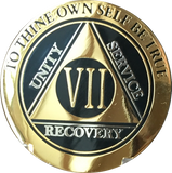 AA Medallion Elegant Black Gold & Silver Plated Years 1 - 45 Bi-Plate - RecoveryChip