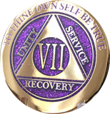 1 - 10 & 30 Year AA Medallion Elegant Glitter Purple Gold & Silver Plated Sobriety Chip - RecoveryChip