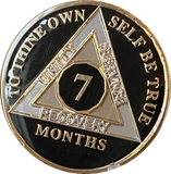 1 2 3 4 5 6 7 8 9 10 11 or 18 Month AA Medallion Classic Black Tri-Plate Sobriety Chip